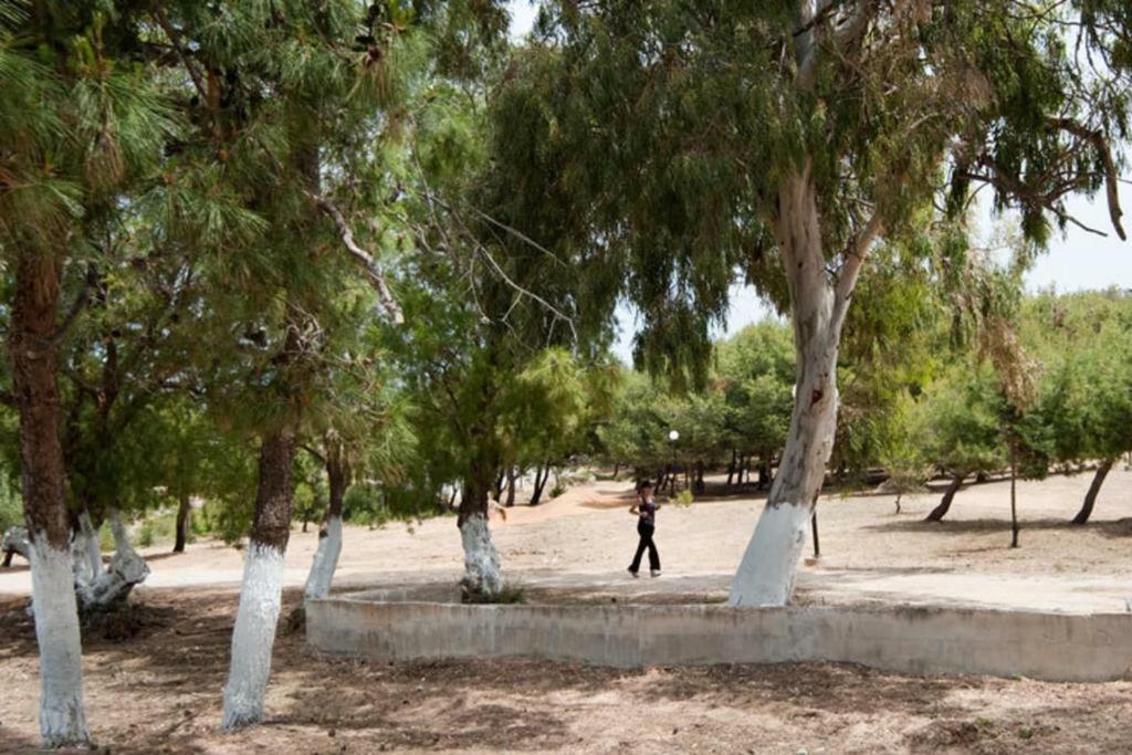 شقة Orama كاتو ذاراتسو المظهر الخارجي الصورة